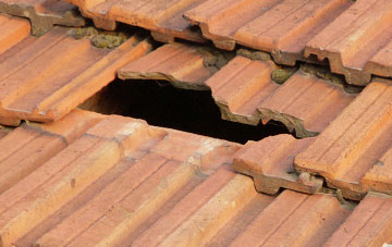 roof repair Hollow Brook, Somerset
